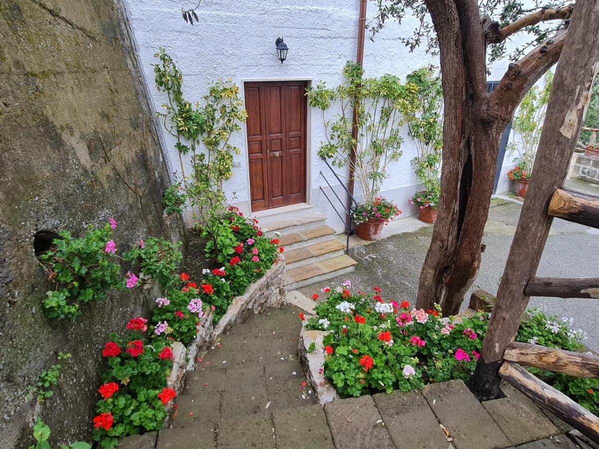 Villa Casa Betania Da Peppe Sorrent Exterior foto